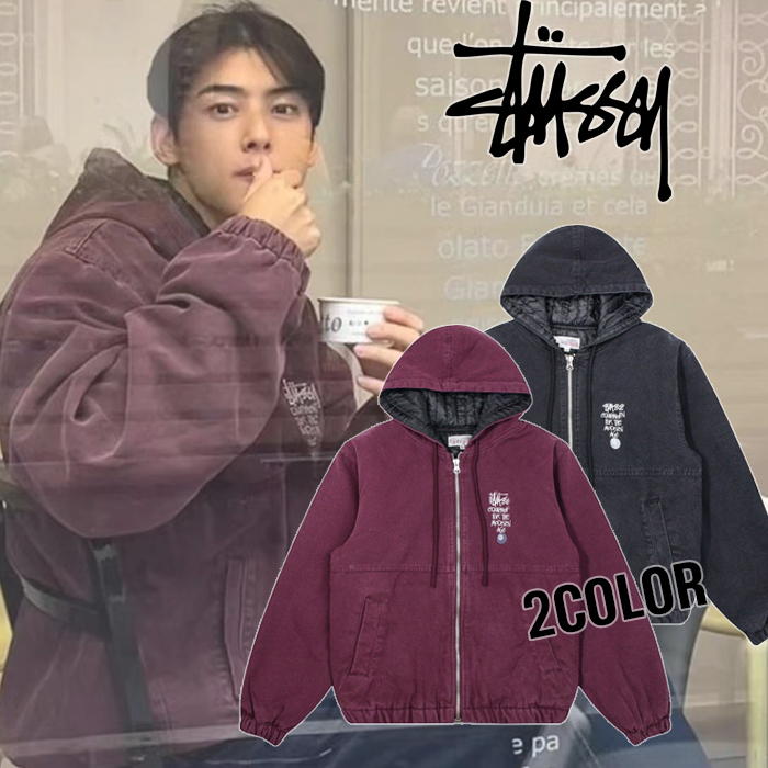 [M~2XL] 스투시 캔버스 인슐레이티드 워크 후드 자켓 (차은우) 2COLOR